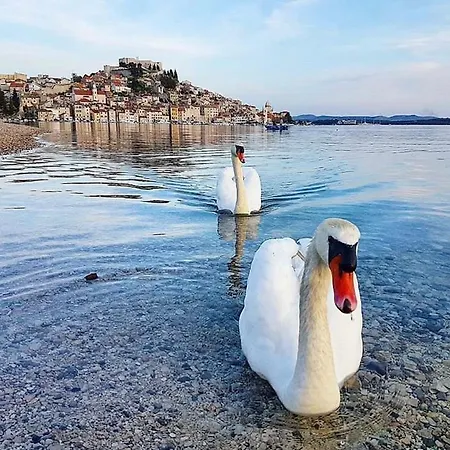 Antique - Old Town Apartman Sibenik