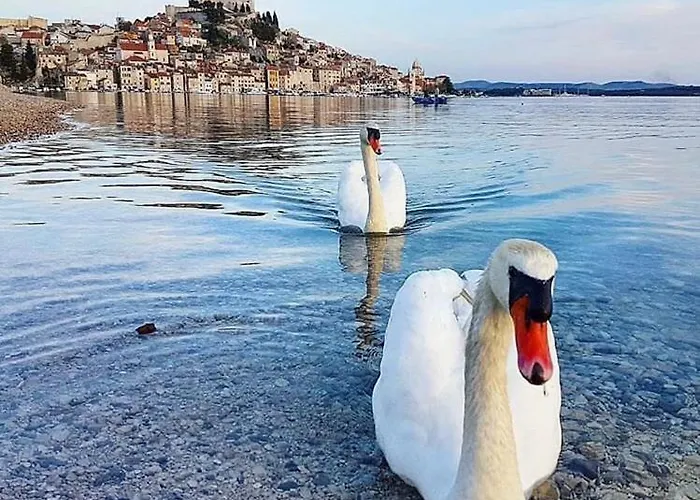 Antique - Old Town Lejlighed Šibenik